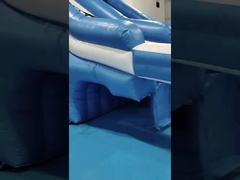 Εμπορικός εξωτερικός γιγάντιος φουσκωτός υδραλυσίδας χταπόδι καρτούν φουσκωτός υδραλυσίδα